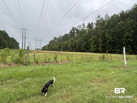 Cleared Residential Land with Road Frontage