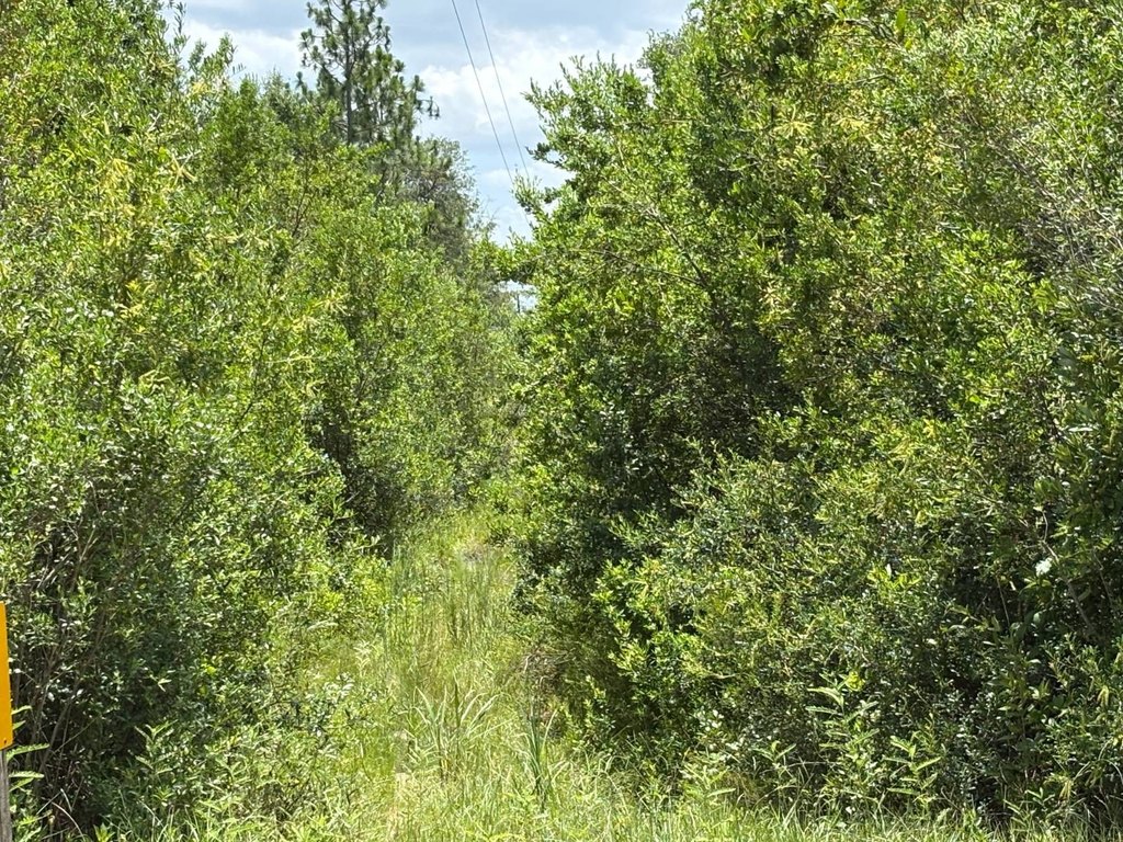 Picture 20