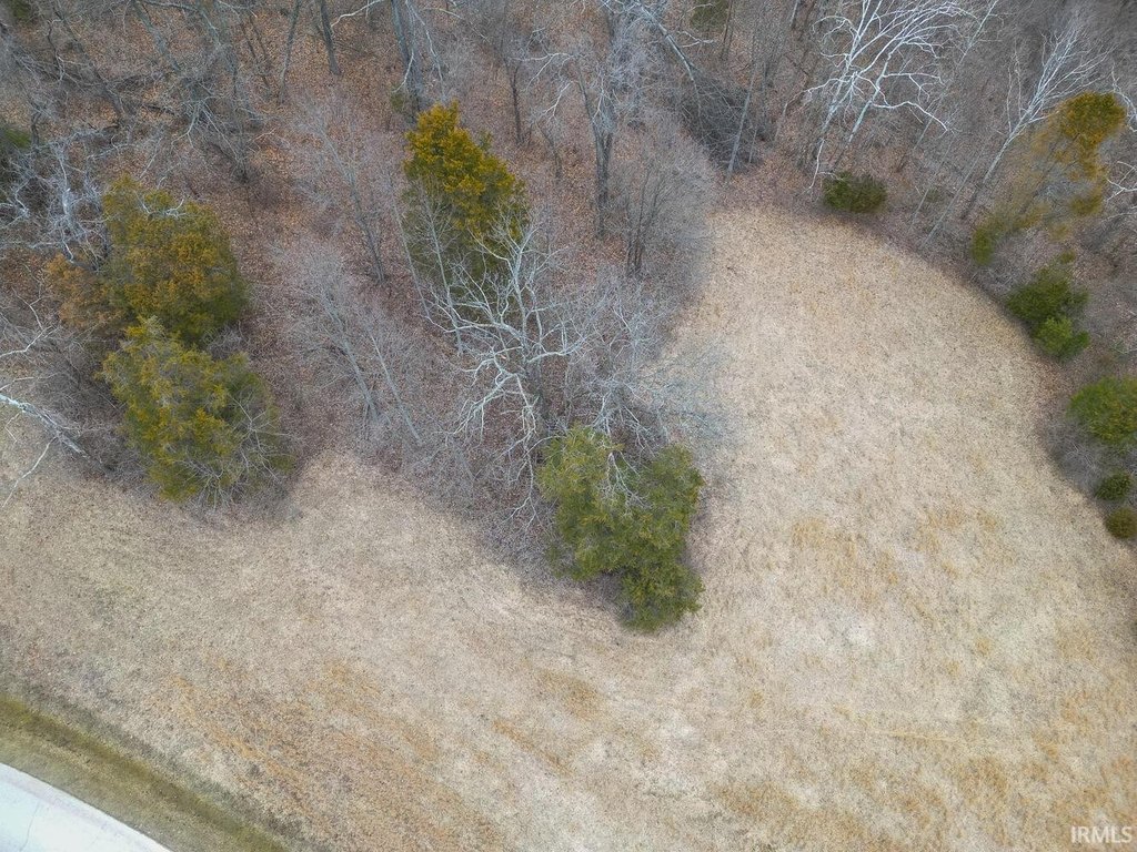 Picture 5