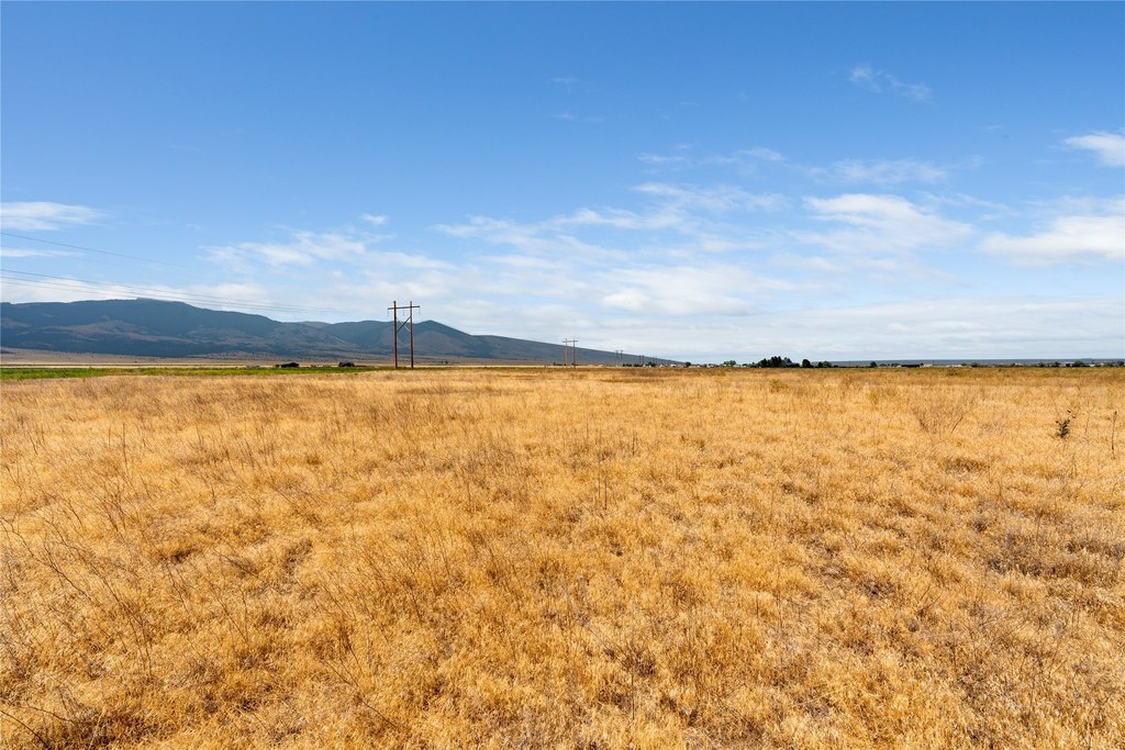 Picture 43