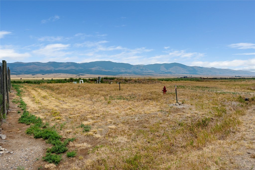 Picture 29