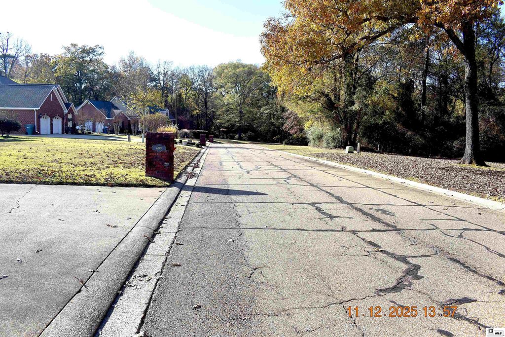 Picture 3