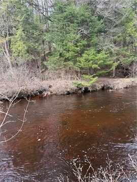 Adirondack Waterfront Land in Forestport
