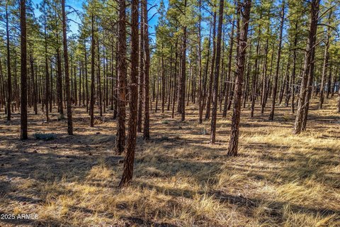 Residential Land in Pinetop-Lakeside, AZ