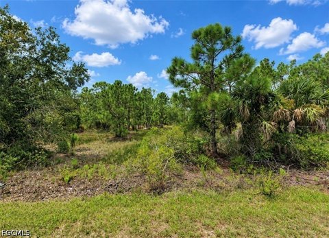 Land, Punta Gorda, FL