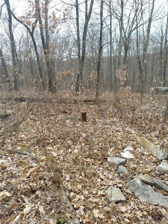 Picture 17