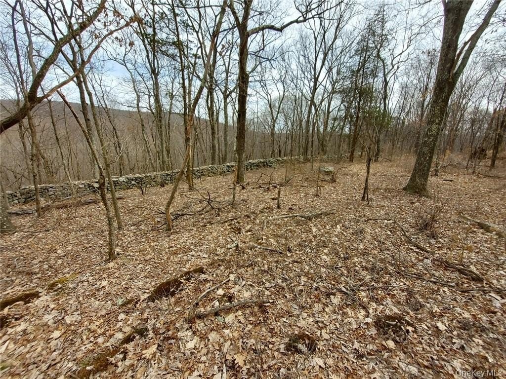 Picture 18