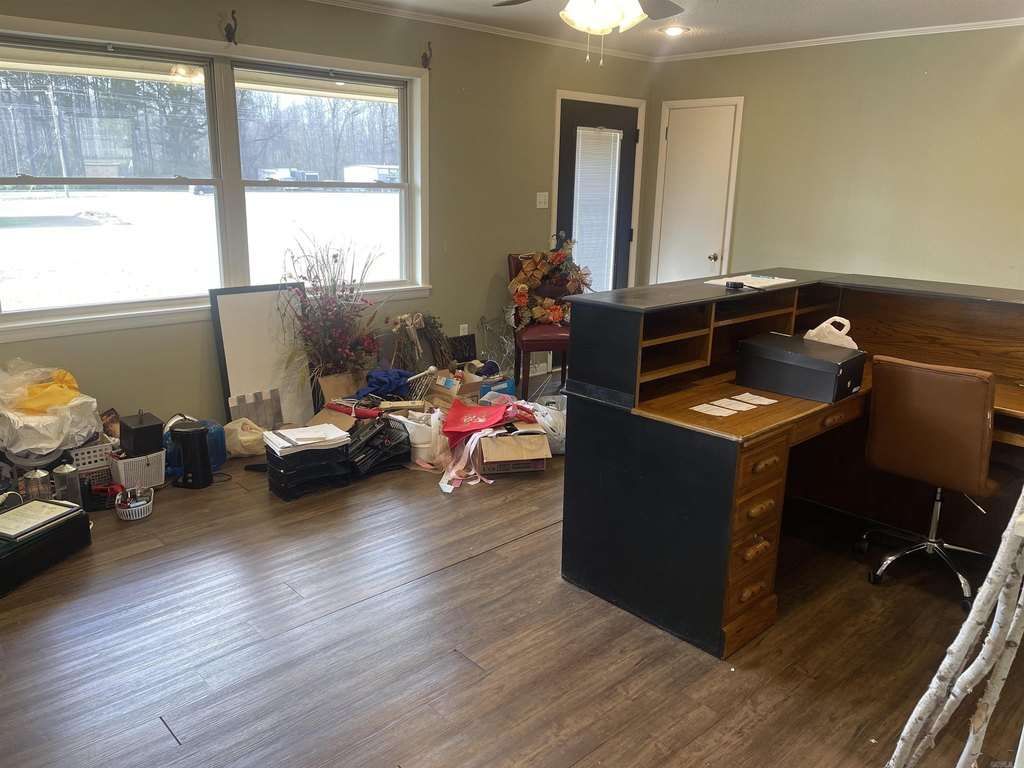 Picture 15
