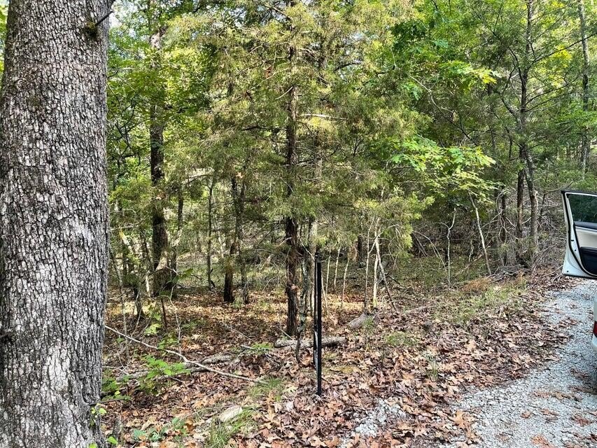 Land Bordering Bull Shoals Lake