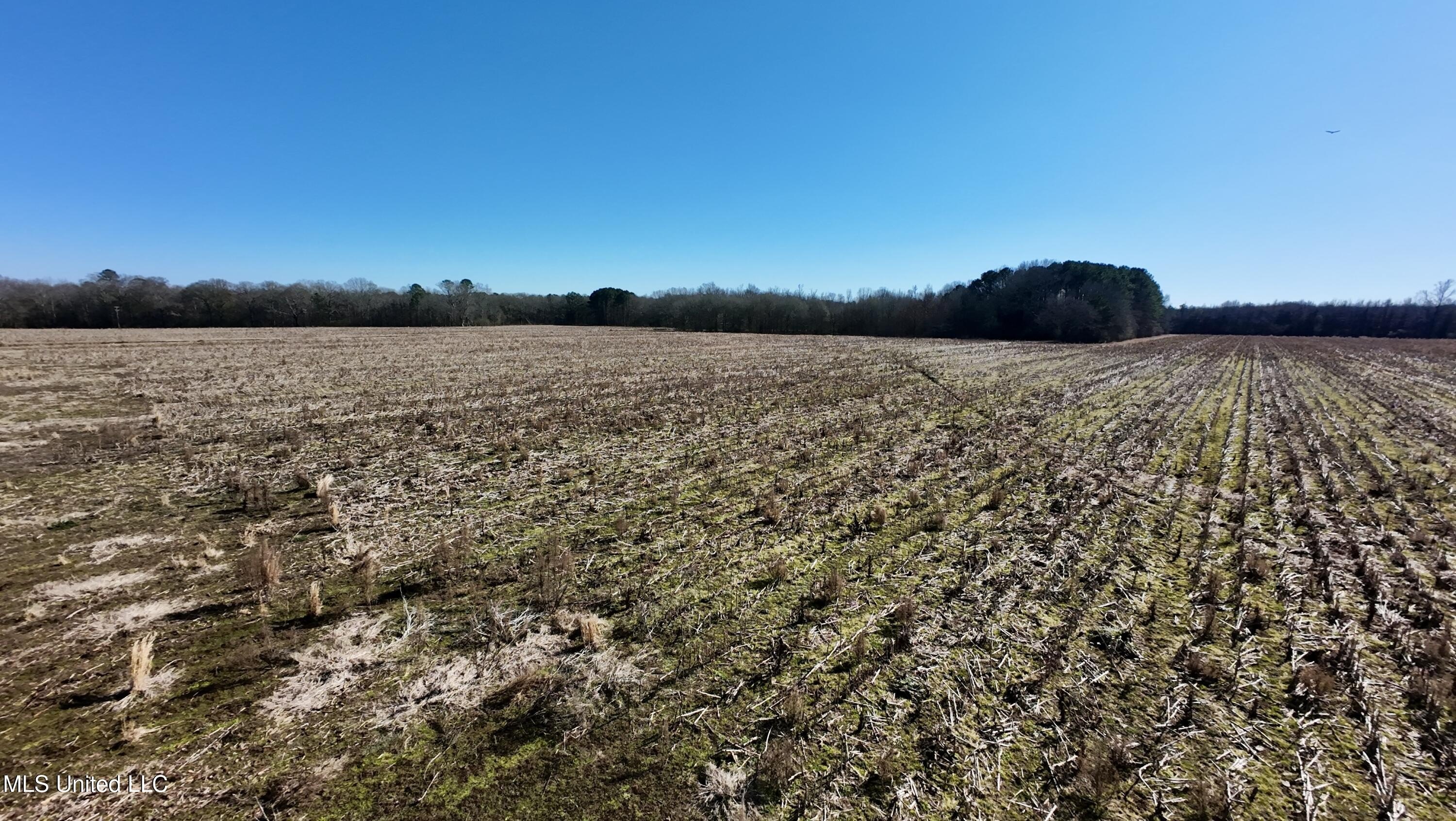 Prime Commercial Land in Carthage