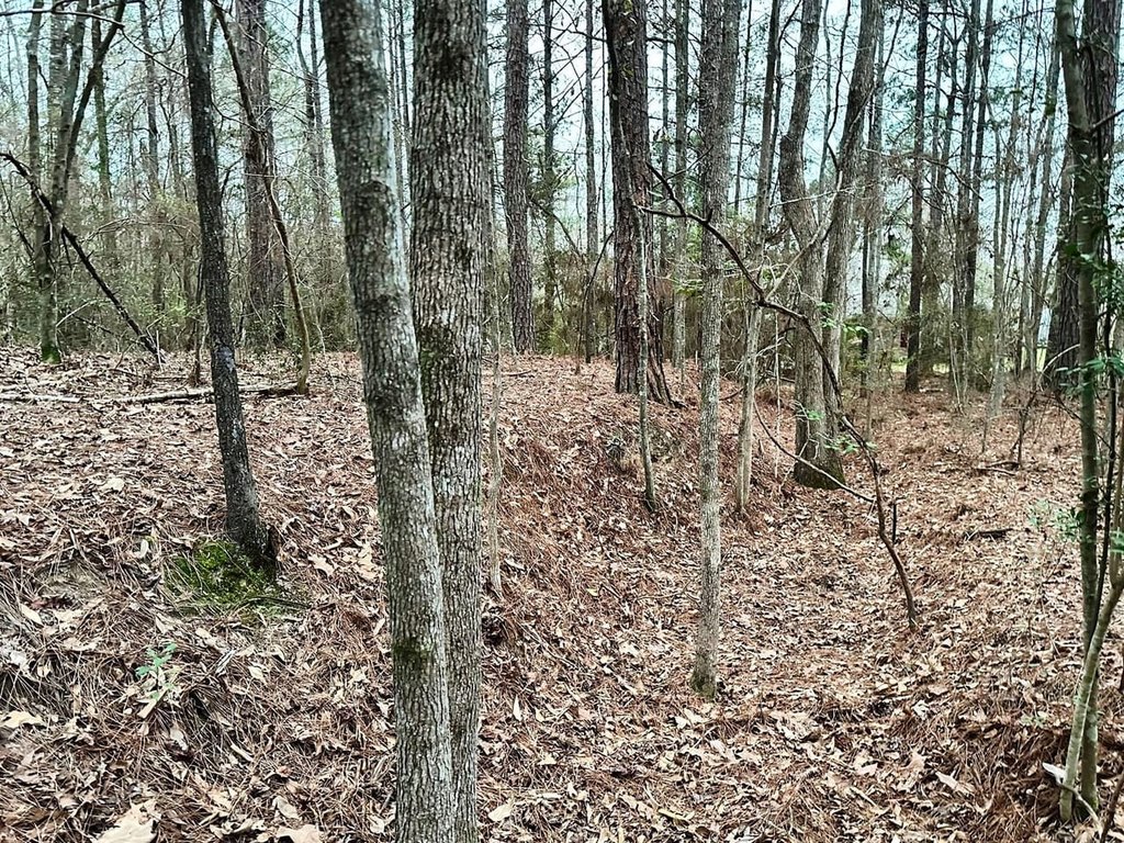 Picture 3