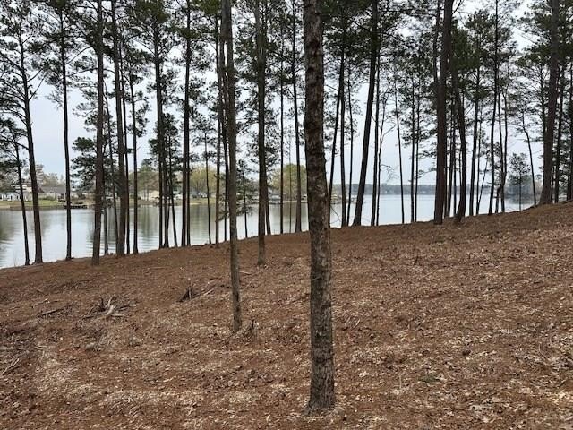 Lakefront Land in Ninety Six