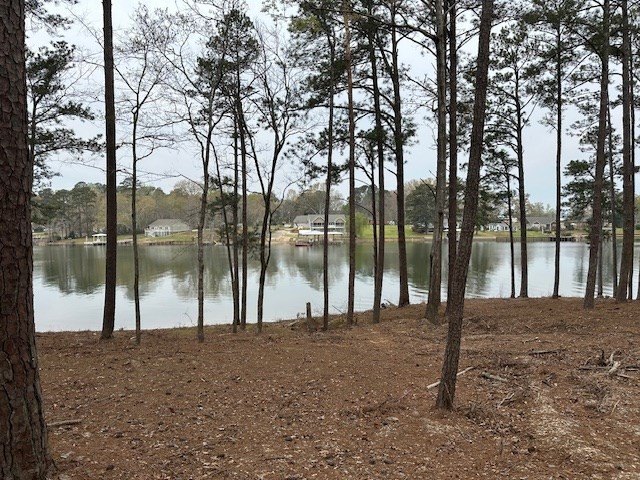 Picture 3