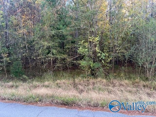 Rainbow City Commercial Land Available