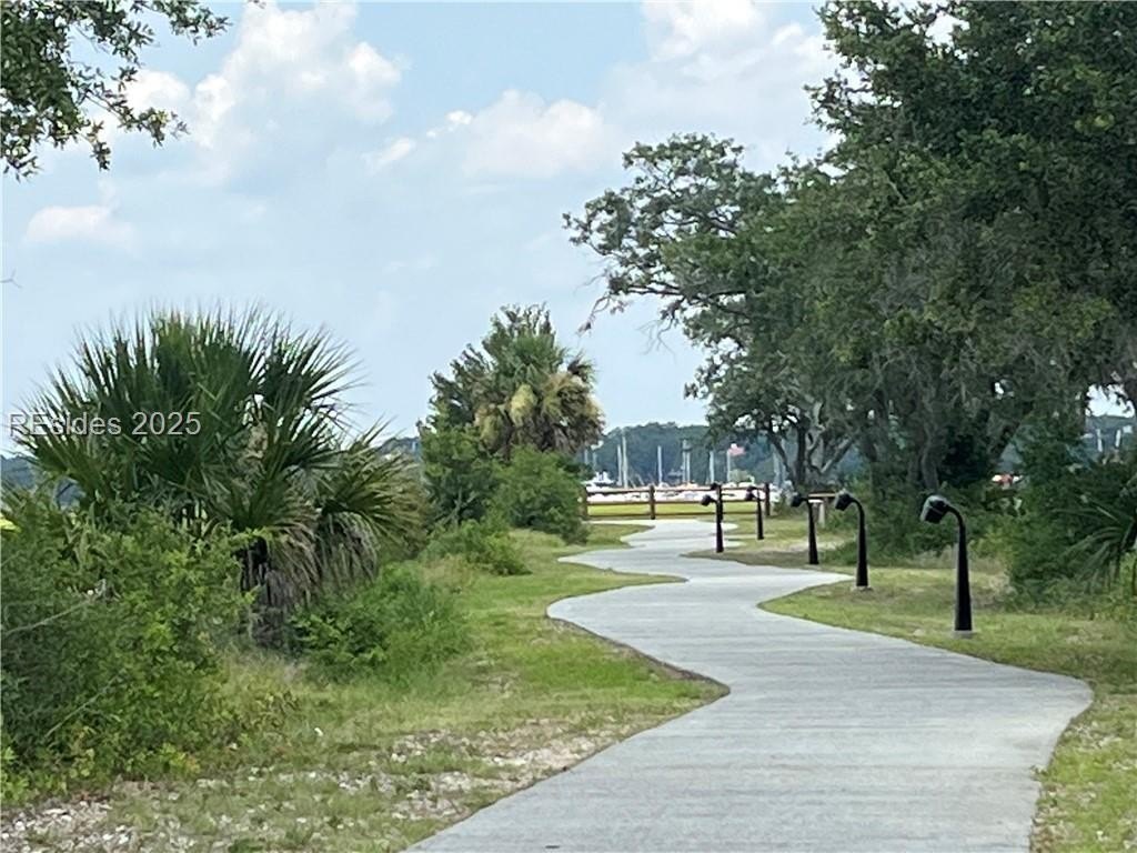 Picture 25