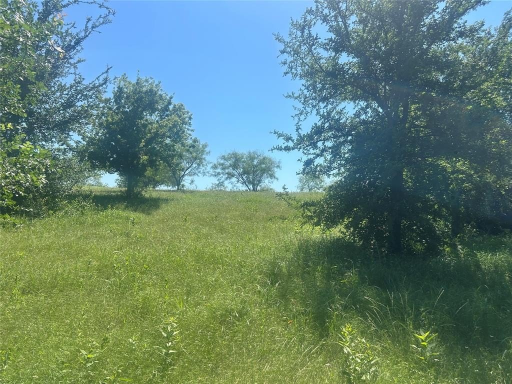 Picture 23