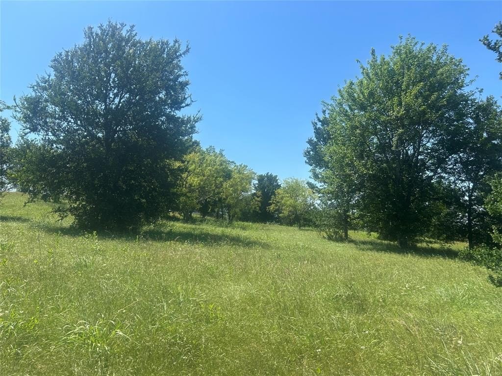 Picture 21