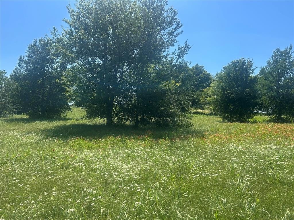 Picture 15