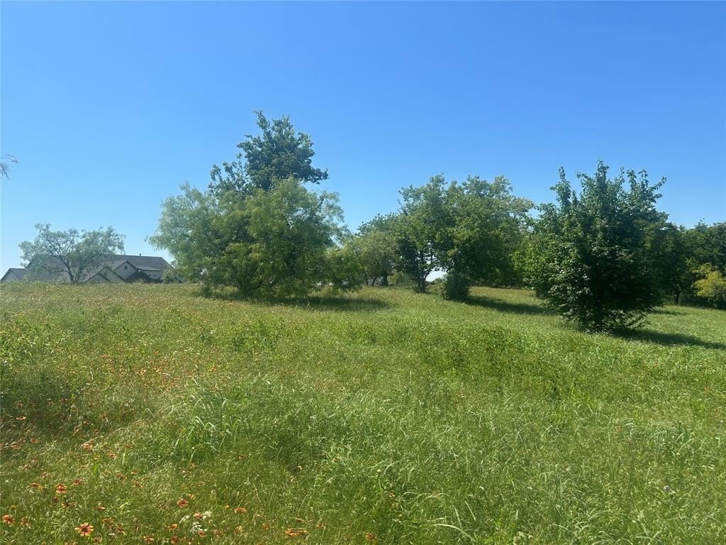 Picture 18