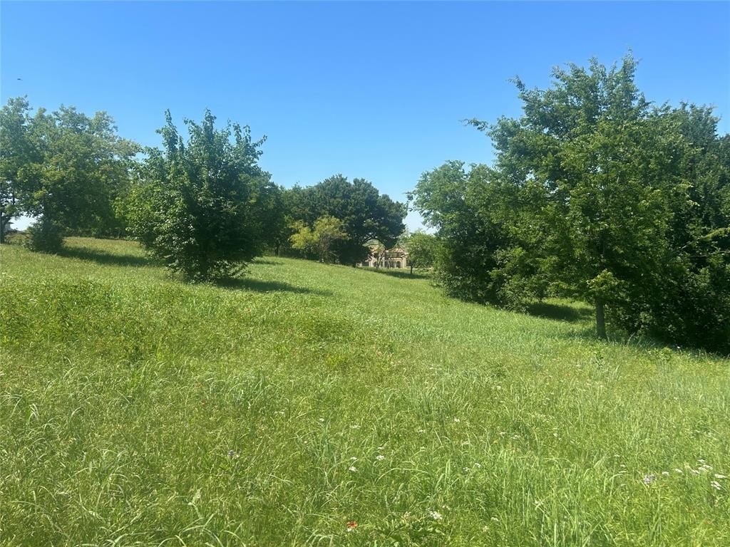 Picture 20