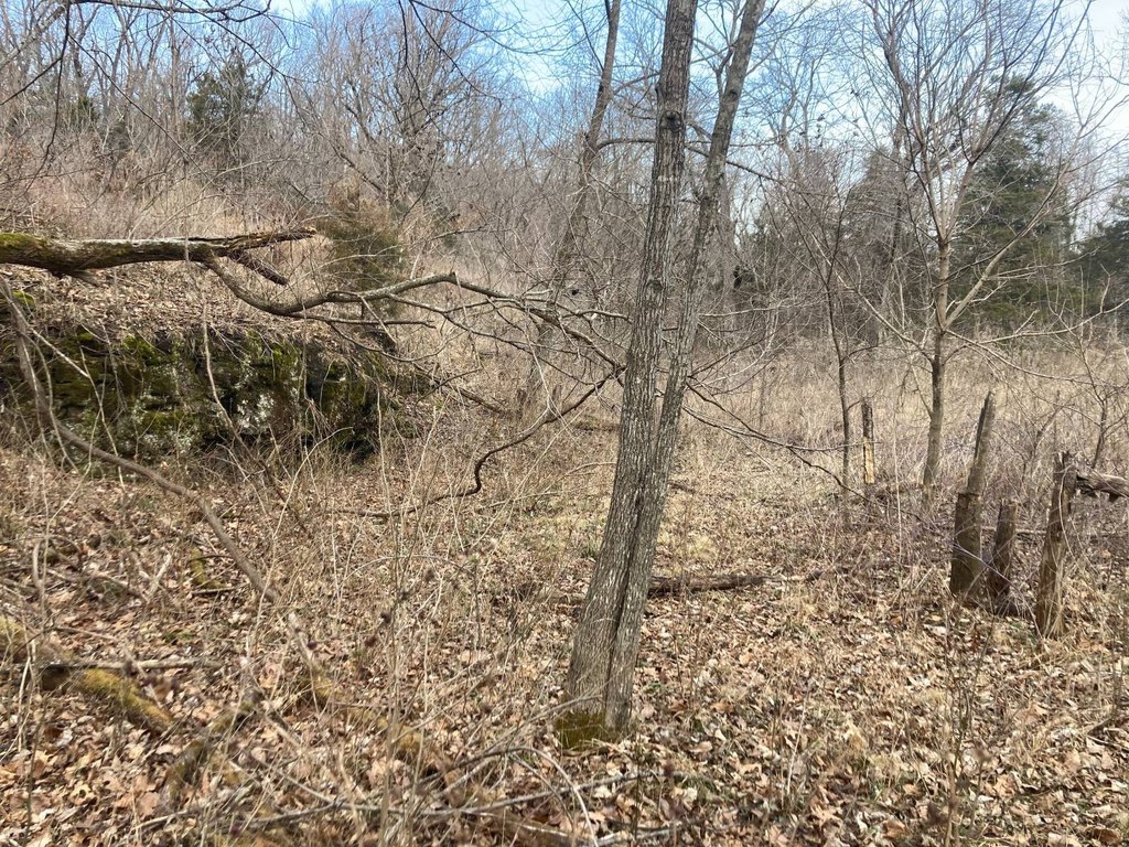 Picture 17
