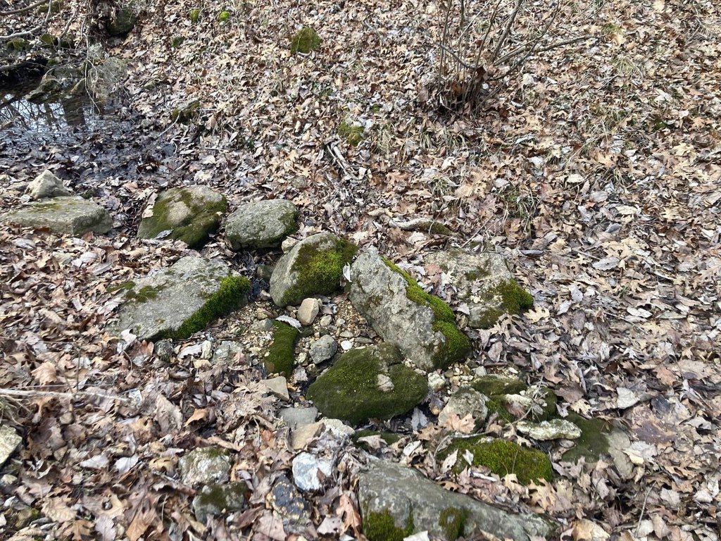 Picture 8
