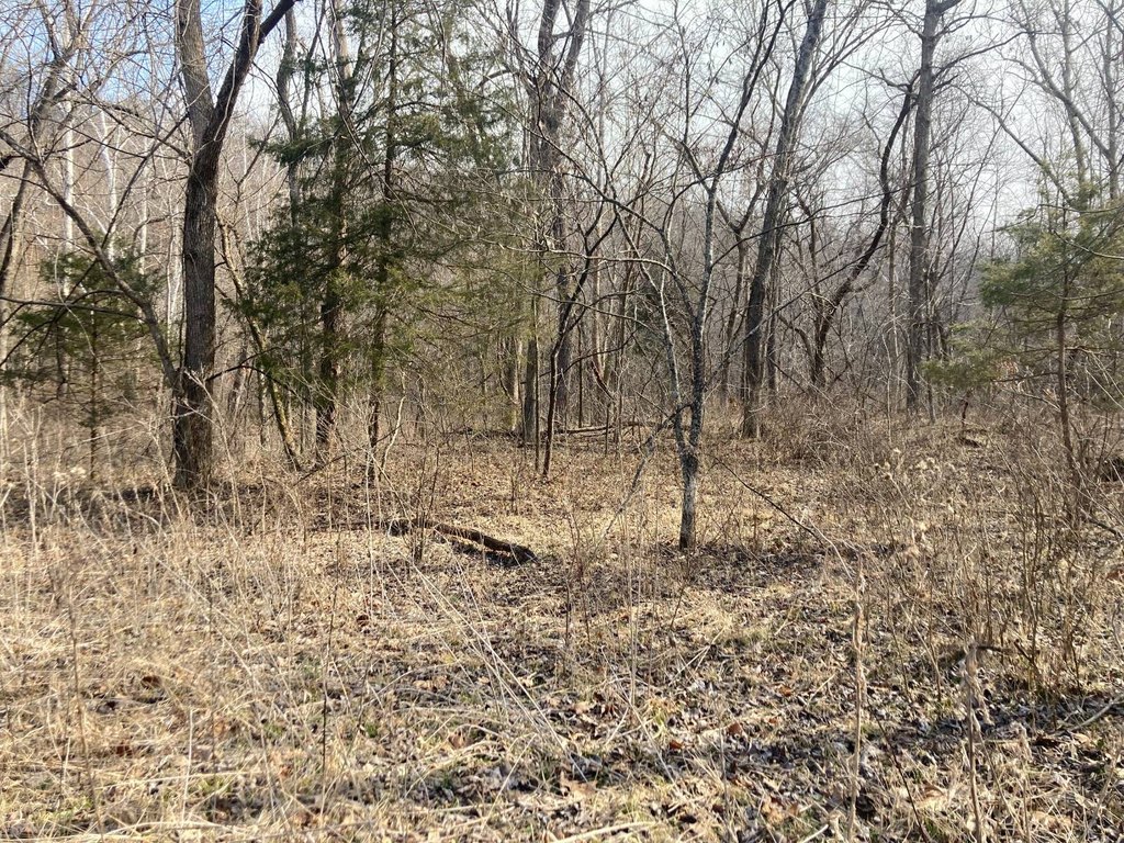 Picture 4
