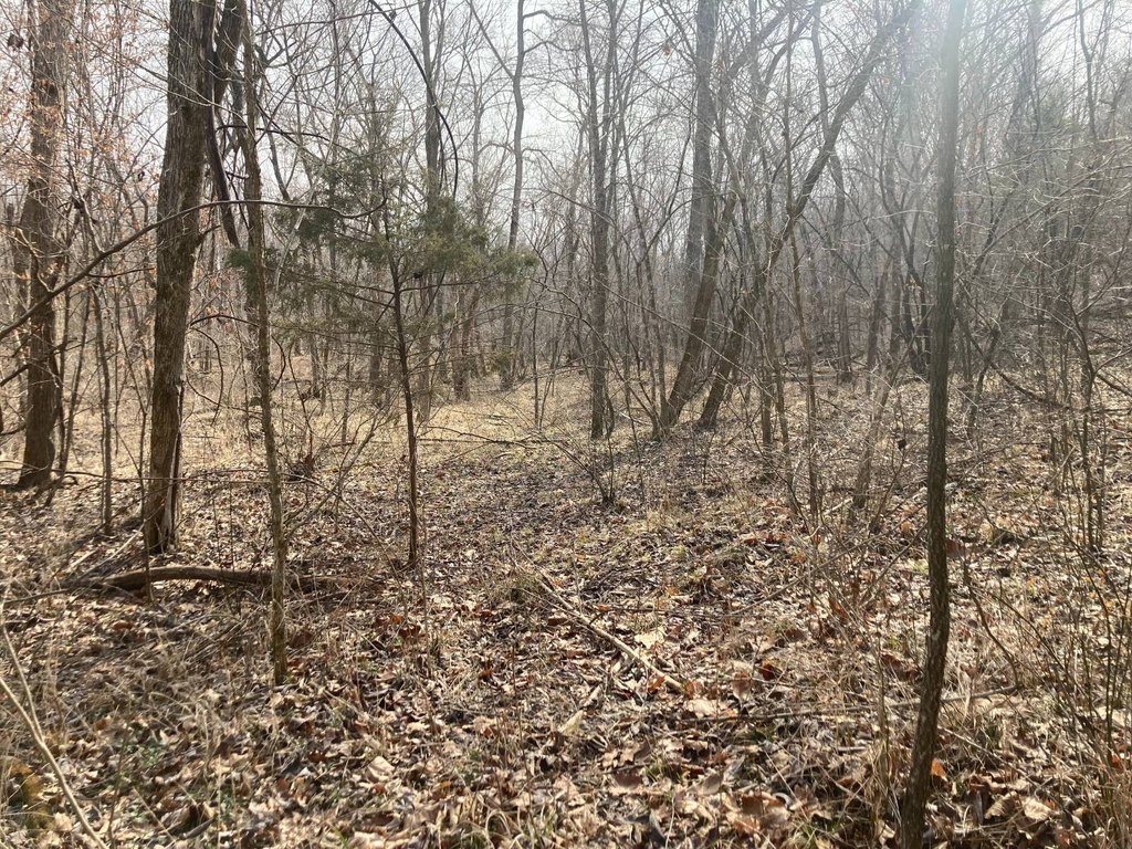 Picture 12
