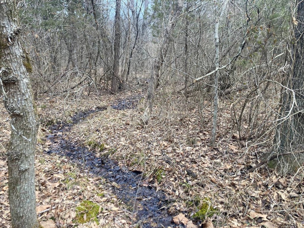 Picture 13