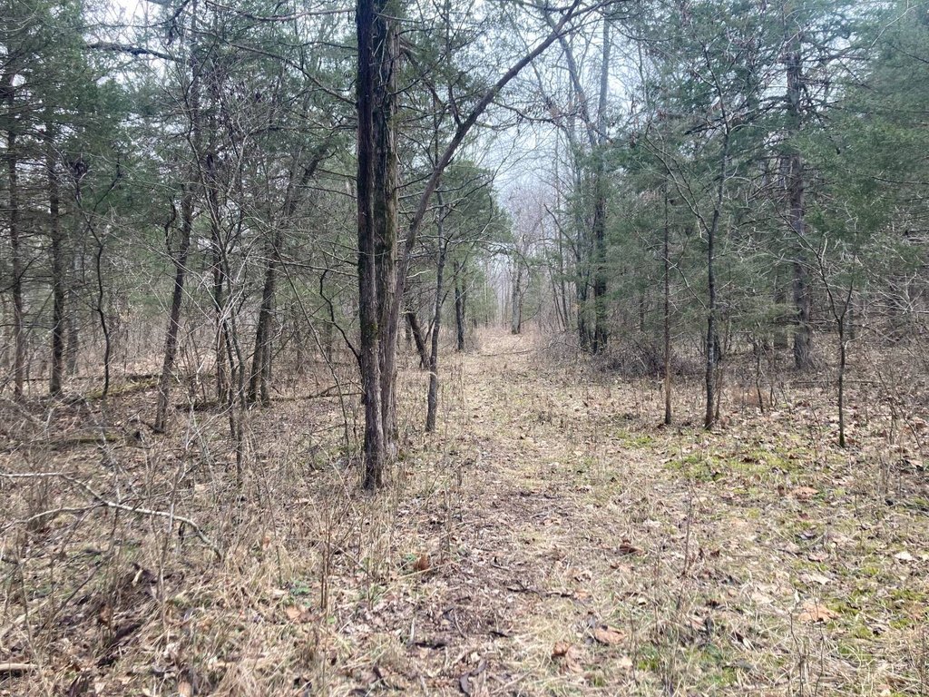 Picture 26