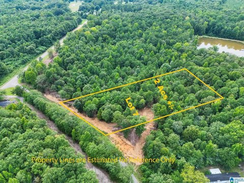 LAND/LOTS, JEMISON, AL