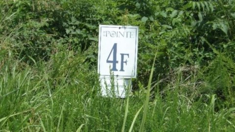 Hilham, TN Land For Sale