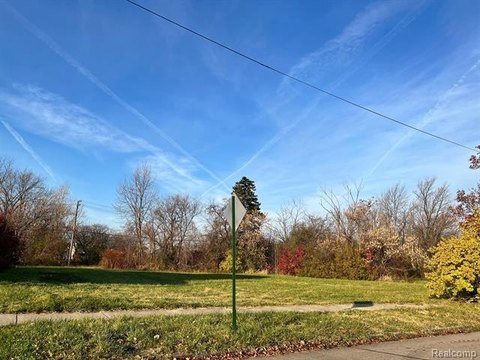 Detroit Land Infill Opportunity
