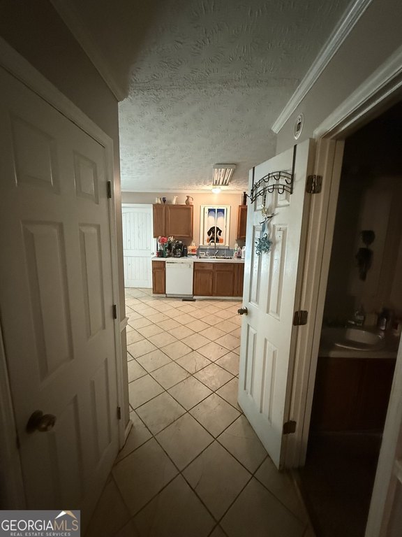 Picture 38