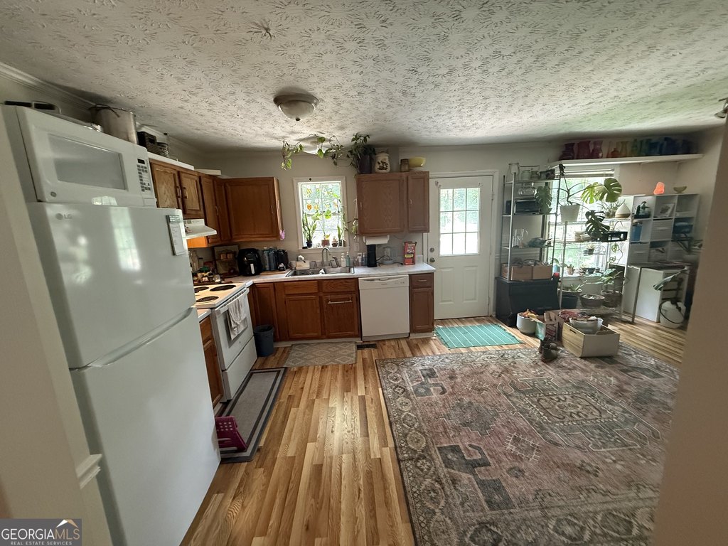 Picture 18