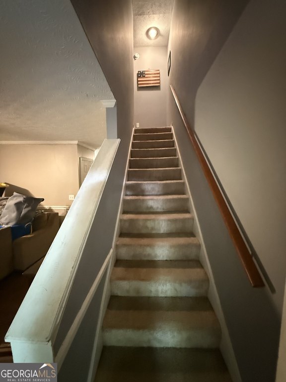 Picture 48