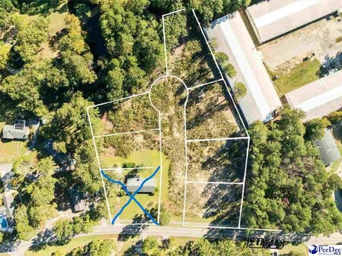 Land, Cheraw, SC