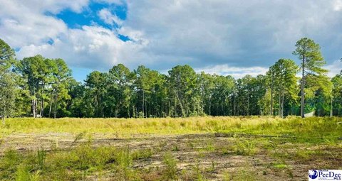 Land, Cheraw, SC