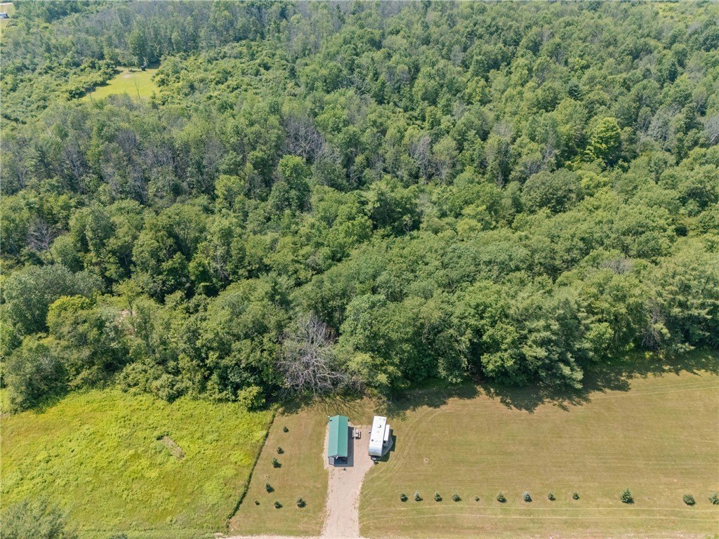 Picture 17