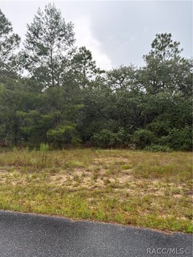 Land, Citrus Springs, FL