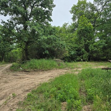 Secluded Wooded Acreage Near Lake