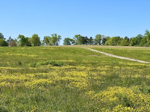 Land, Wilmore, KY