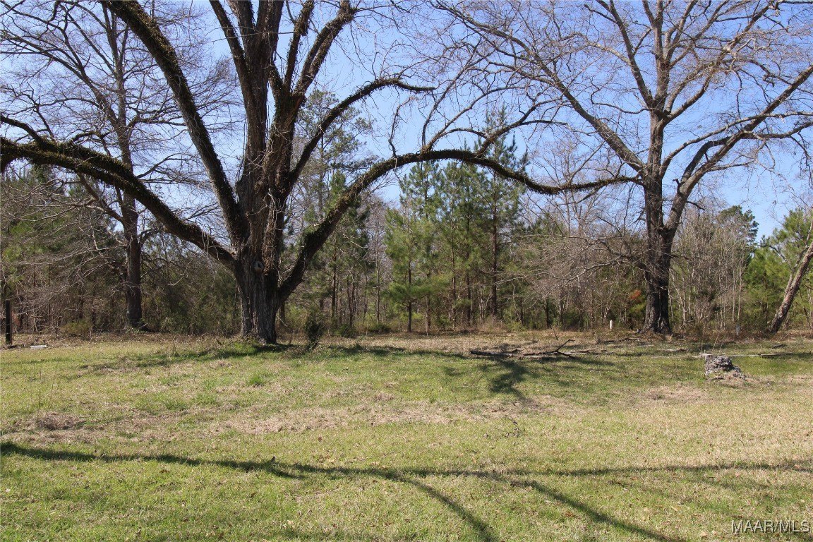 Expansive Land in Grady, Alabama
