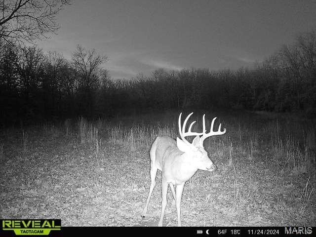 Picture 19