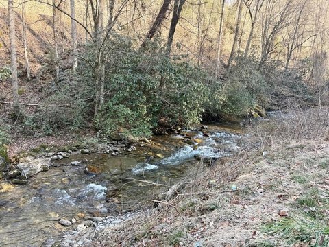 Riverfront Homesite in Bryson City