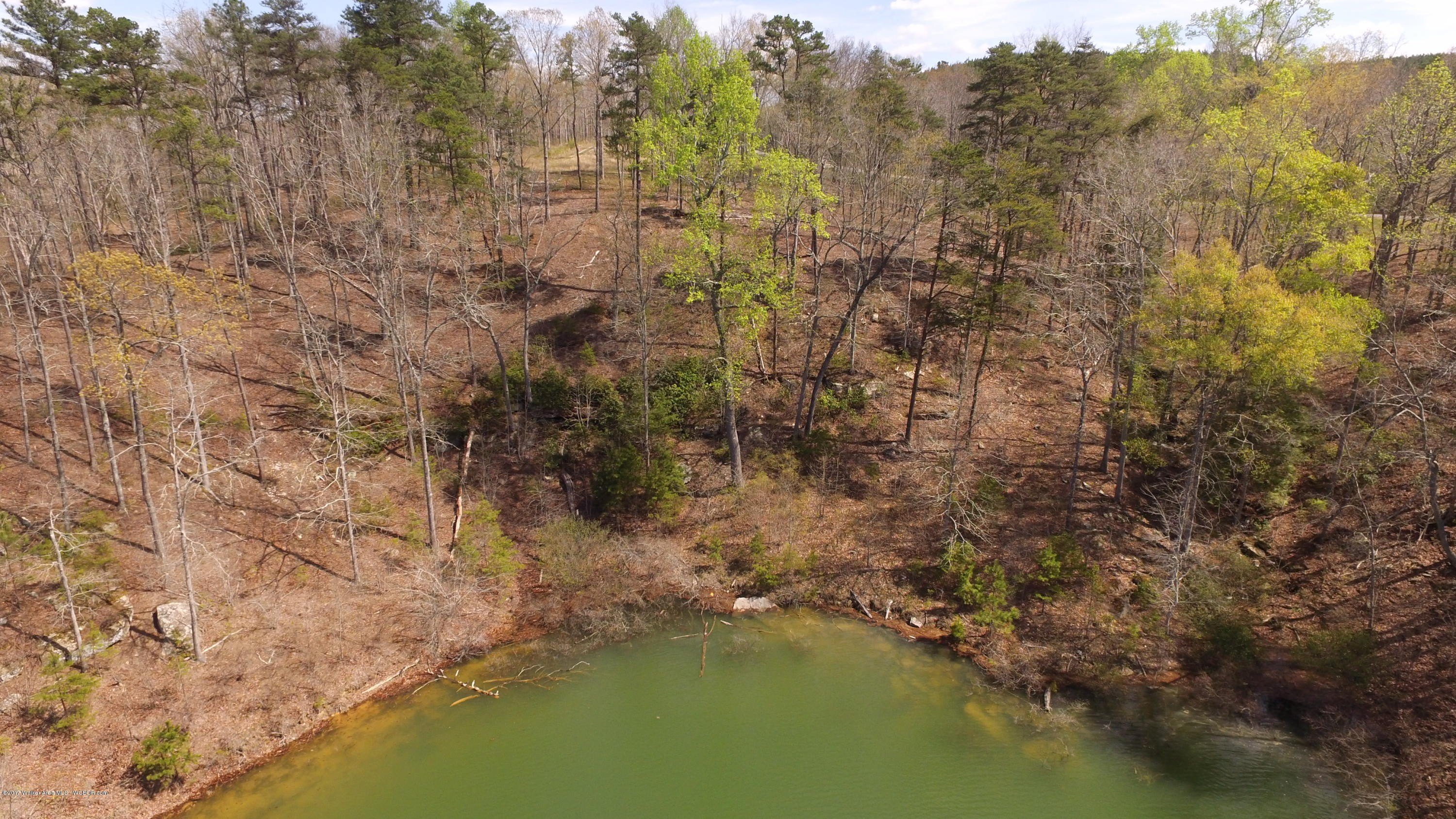 Land For Sale in Arley