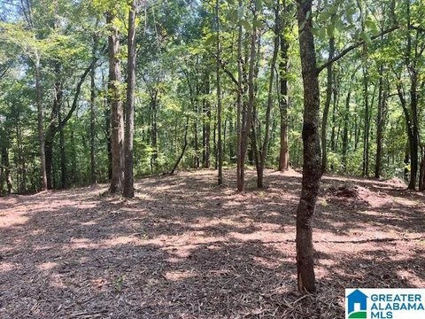 Pell City Wooded Acreage