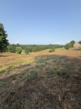 Vacant Lot, Ellijay, GA