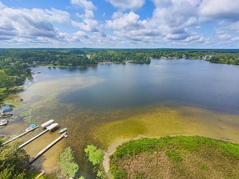 Land, Pinckney, MI