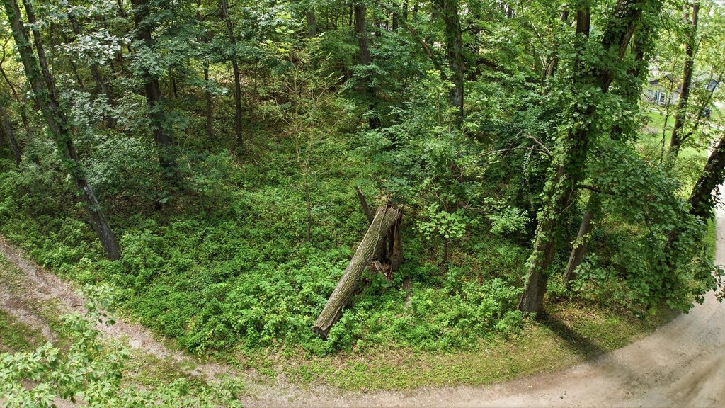 Picture 8